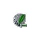 Broche unité verte FF-Badminton