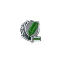Broche unité verte FF-Badminton